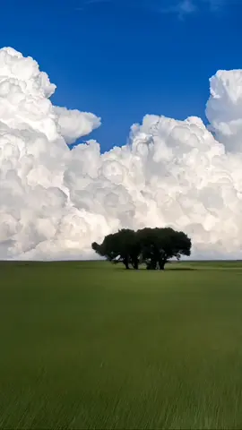 dreamcore...#feverdream #weirdcore #fyp #nostalgia #dreamcore 