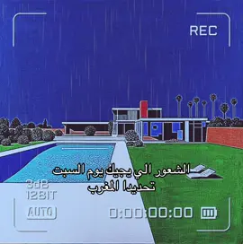 #explore #ترند_تيك_توك #ترند #ذبات #ميمز 