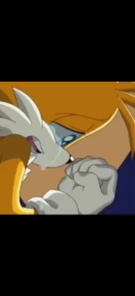 I had Chinese today dor dinner jt was lovelah  #blunderbuss #sonicthehedgehog #fyp #sonic #sonicx 