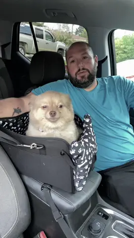 #teamterry #dogcarseat #pupsoftiktok🐶 