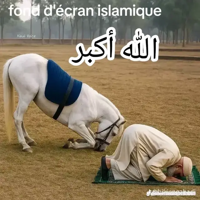 اللهوم صلي على محمد وعلى آله محمد 🌺