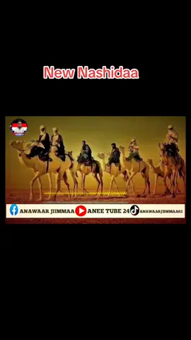 #creatorsearchinsights #oromotiktok #nabimuhammad #muslimtiktok🤲🤲🕋🕋🕌🕌 #jan_kobani 