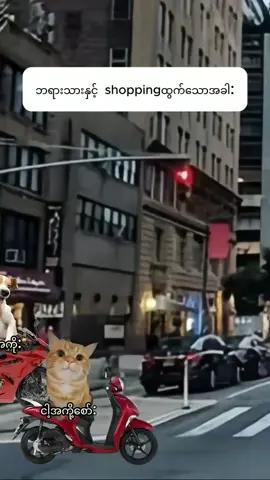 cat meme vd: ဘရားသားနှင့် shoppingထွက်သောအခါ #fyp #foryoupage #id_crd #funny  #catmeme