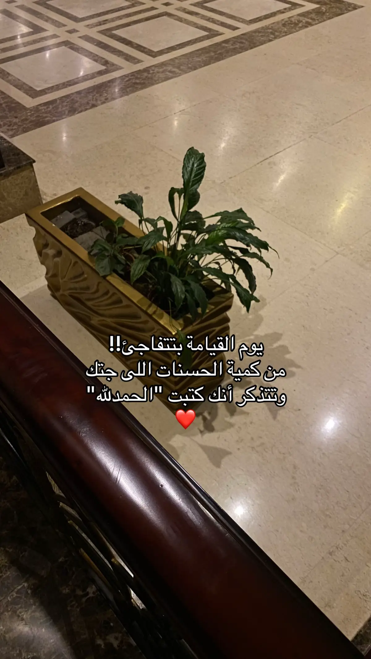 #explore #foryou #قران_كريم 
