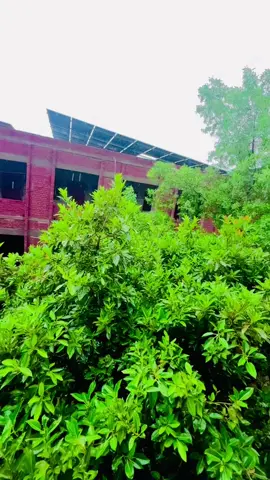 #⏯️⏯️🍁🍁🍁💞🇸🇦🇸🇦🇸🇦🇵🇰🇵🇰🇵🇰 