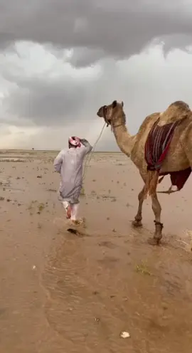 #fyp #foryou #الدلبحي #اذ دقة طررف وادي الرشاء❤️