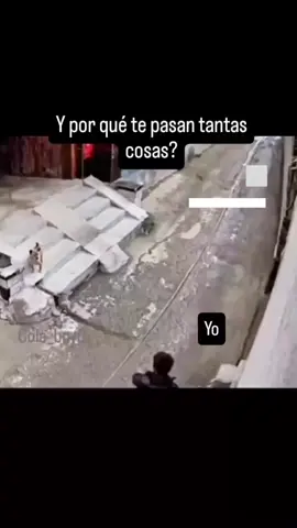 #niñocorriendo #perros #risa #paratiii #f 😂😂😂