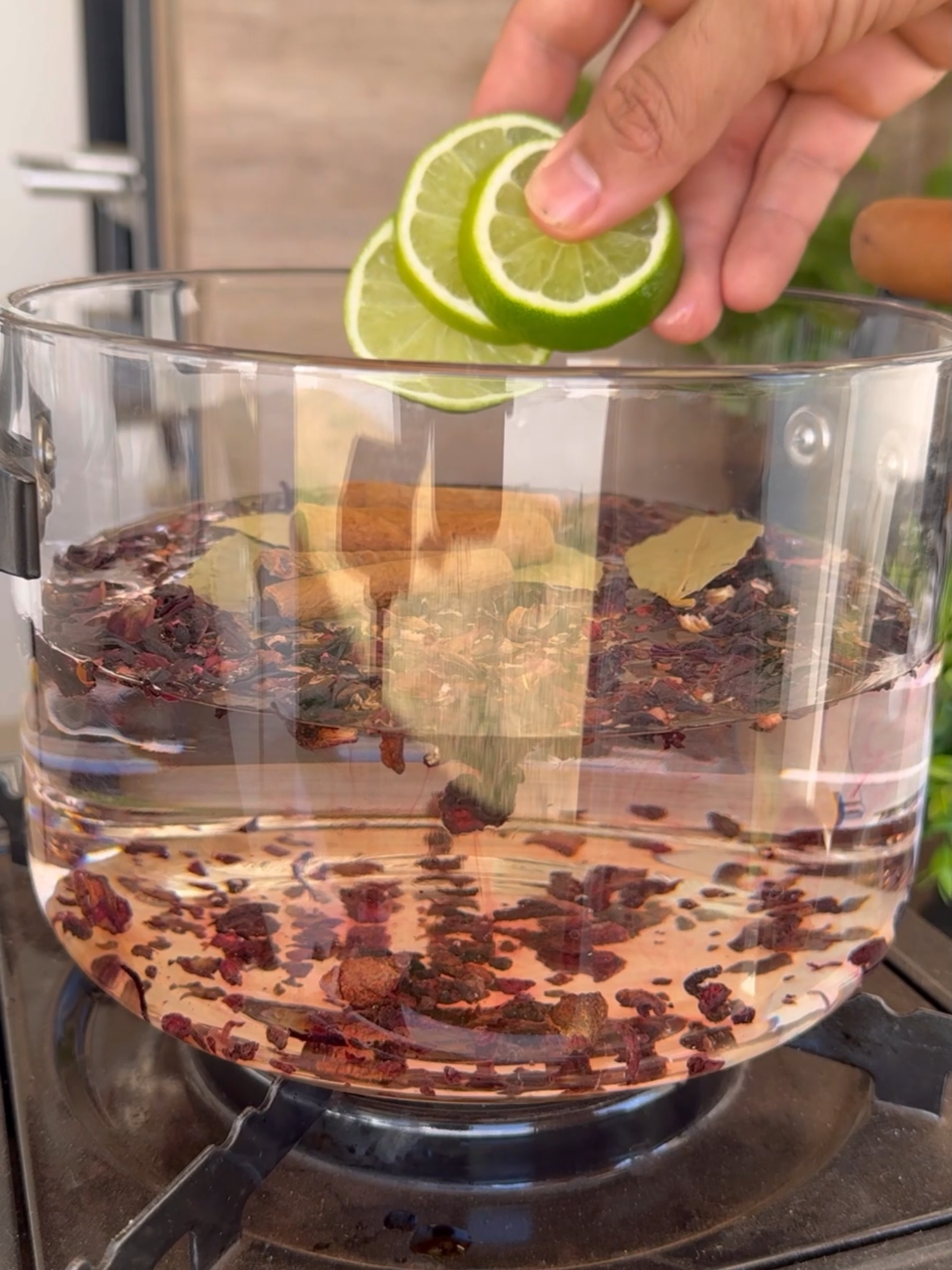 meninas, tomem água de hibisco, isso está deixando os hospitais vazios!