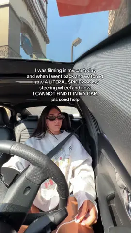 idek if that’s a spider but whatever it is i don’t want it in my car😭😭😭😭 #fyp #spider #foryoupage #fearofspiders 