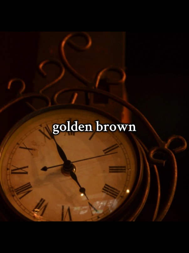 aesthetic vibes golden brown#beauty#aesthetic#golden#fyp#foryou 