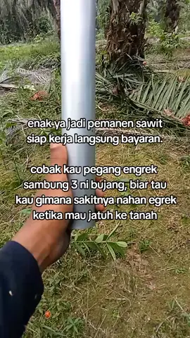 kalau cuman ngomong mah enak 🥱 #fypシ゚ #kulisawit🌴 #strorysawit🌴🌴 #kulitojok59 