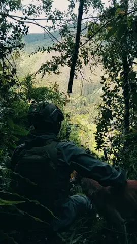 hutan #tniindonesia🇮🇩 #satgaspapua 