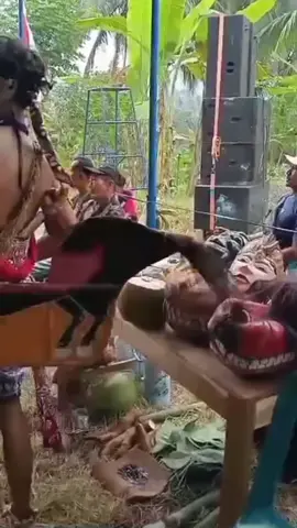 #tradisionaldance #capcut #fyppppppppppppppppppppppp 