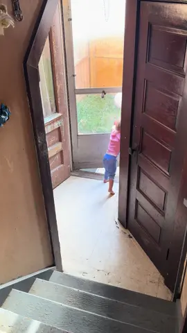 Baby Bee loves letting the dogs inside #globaldevelopmentdelay #autism #twoyearold #pku #mildcp 