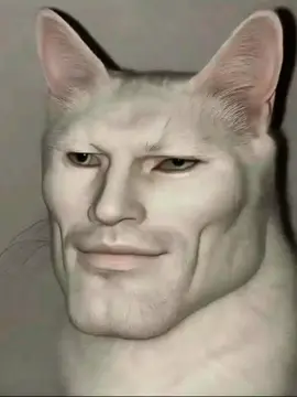 #CapCut #MONTAGEM XONADA#Cat edit