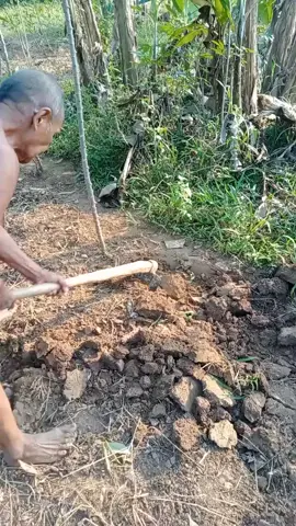 sehat terus yo pak 🫰🫰🙏