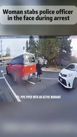 Woman stabs police officer in the face during arrest