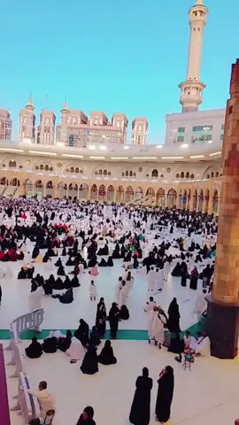 #ماشاءالله_تبارك_الله_اذكروا_الله