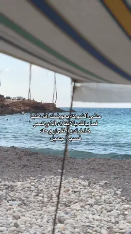 #ربي_اني_مسني_الضر_وانت_ارحم_الراحمين #quran #اجر_لي_ولكم 