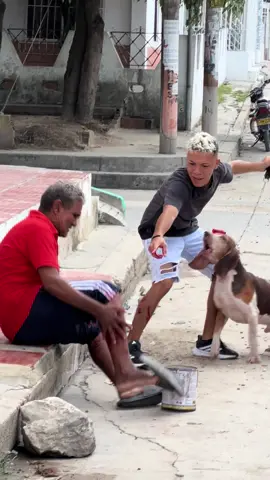 El perrito 🐶-m0rdel0n🤣