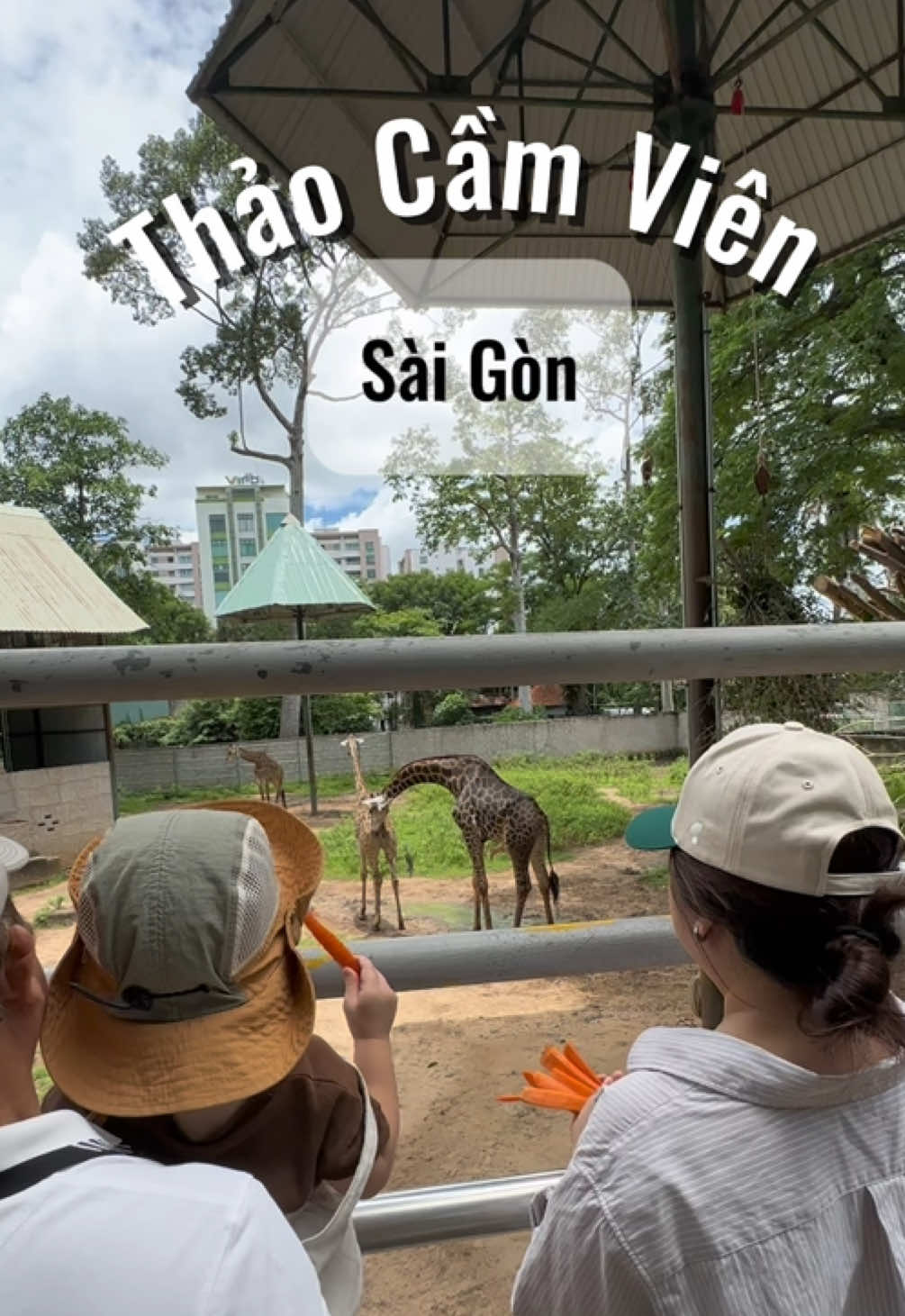 Kinh nghiệm đi chơi Sở Thú cùng em Danny Xoài nha cô chú #dannythemango #wendymedanny #medannyxoai #sothusaigon #thaocamvien #zoovietnam 