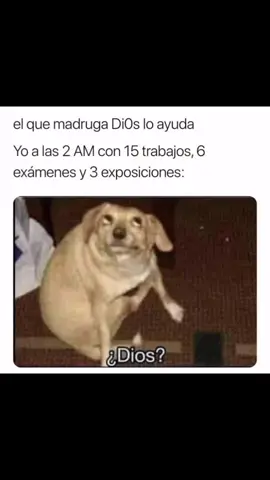 #diosloayuda #elquemadruga #memesespañol #gogogo #tiktokponemeenparatii 