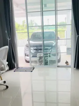 จะได้เข้าบ้านกี่โมง#แมวสีน้ำตาล#ชื่อแมนยู#แมวแสนรู้😽😅