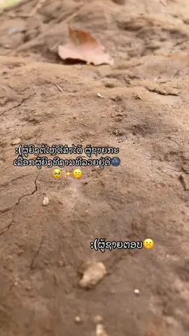 :(ຜູ້ຊາຍຕອບດວນ🌚🥹#ສະຕໍຣີ_ຄວາມຄວາມຮູ້ສືກ🖤🥀 #ຟິດດດດ✨ ມື້ອືນກະດັ່ງ555