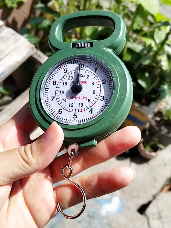 Cân mini tiện lợi 10kg  #canmini #canminicamtay #can #canmini10kg #tieungocshop 
