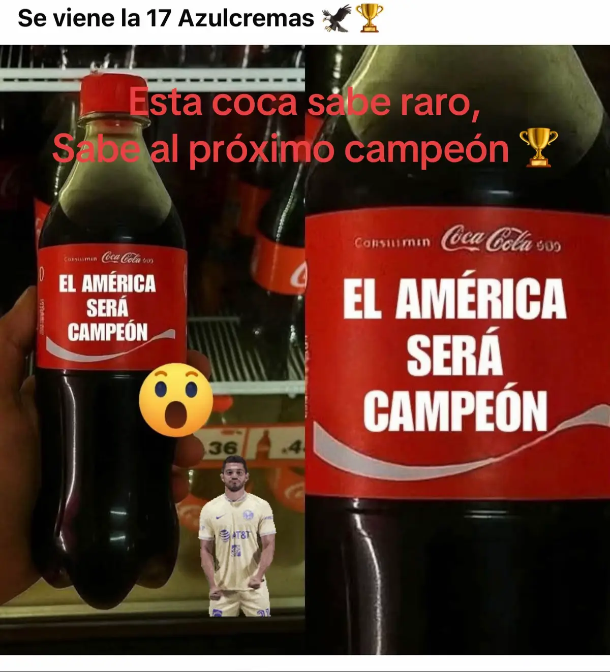 Campeón #17 #verdad #viralvideo #viraltiktok #coca