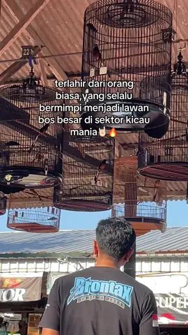 #fypage #fyppppppppppppppppppppppp #kicaumania #storiwa 