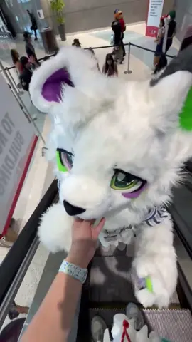 Kawaiii!!!!!!!!!!!~ ( x: Chloris_Chen_ ) #furry #cute #fyp #fur #fursuit 