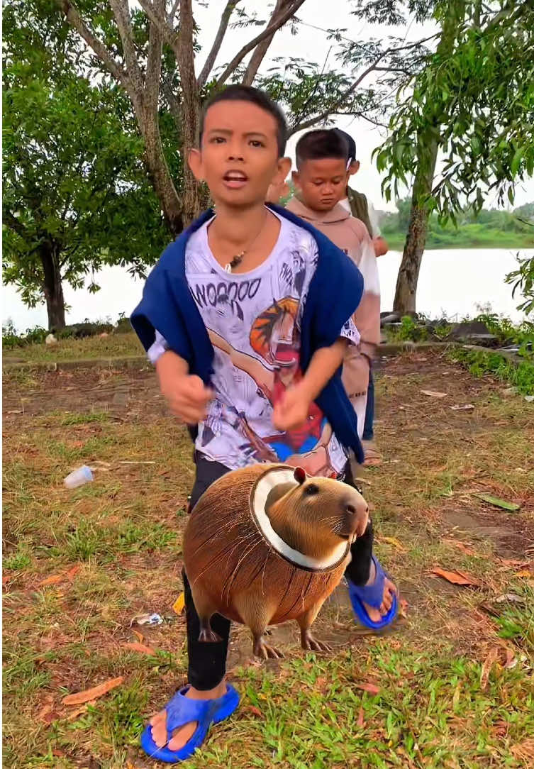 nyanyi lagu anomali versi sigma boy #deohaws #anomali #brainrot 