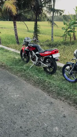 entah mengapa🥹#4u #xyzbca #ninjass #foryoupage #ninja150ss 