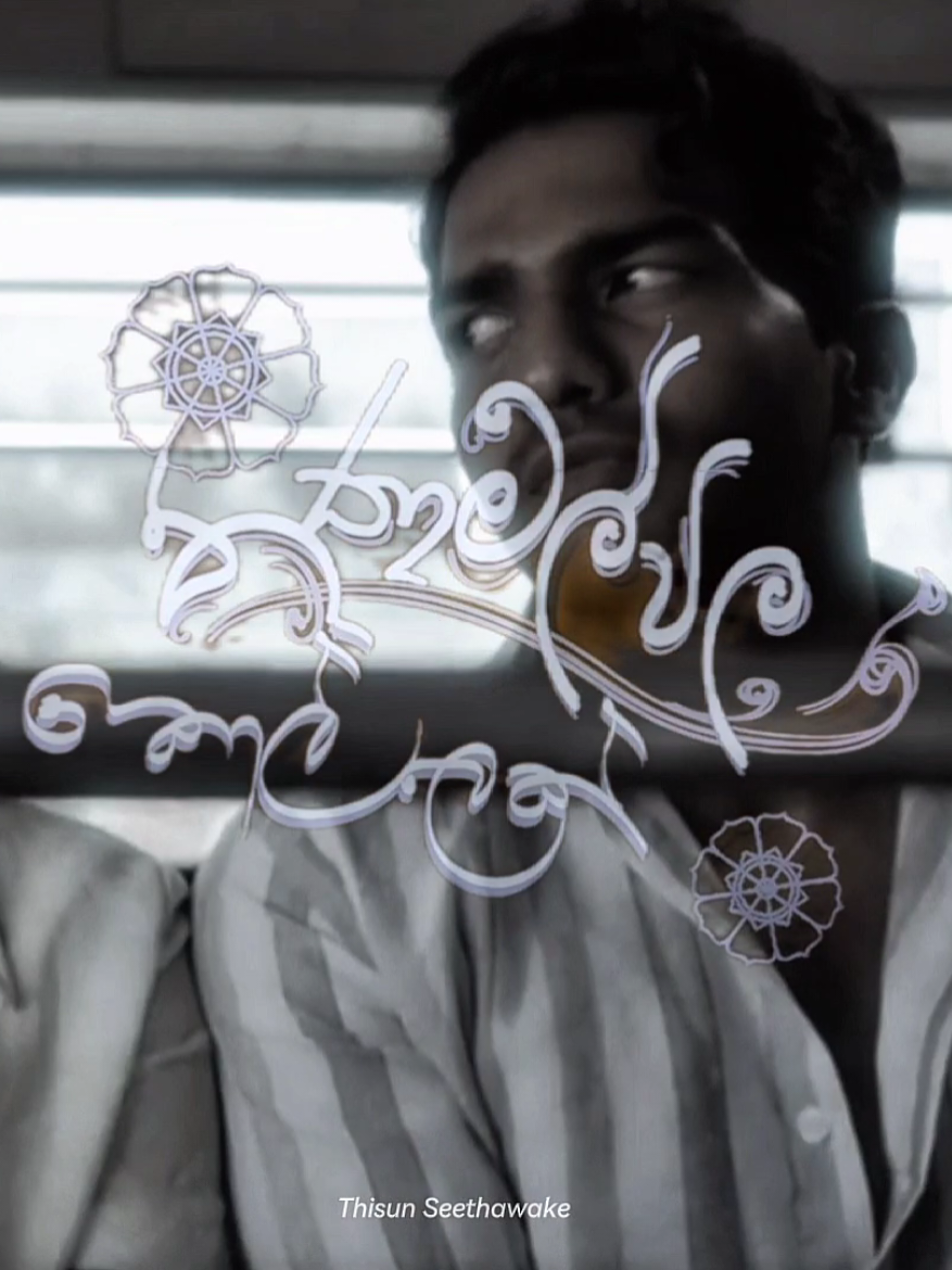 තණ්මල්විල කොල්ලෙක් 🐐 #thanamalwilakollek #tvshow #srilanka #edit