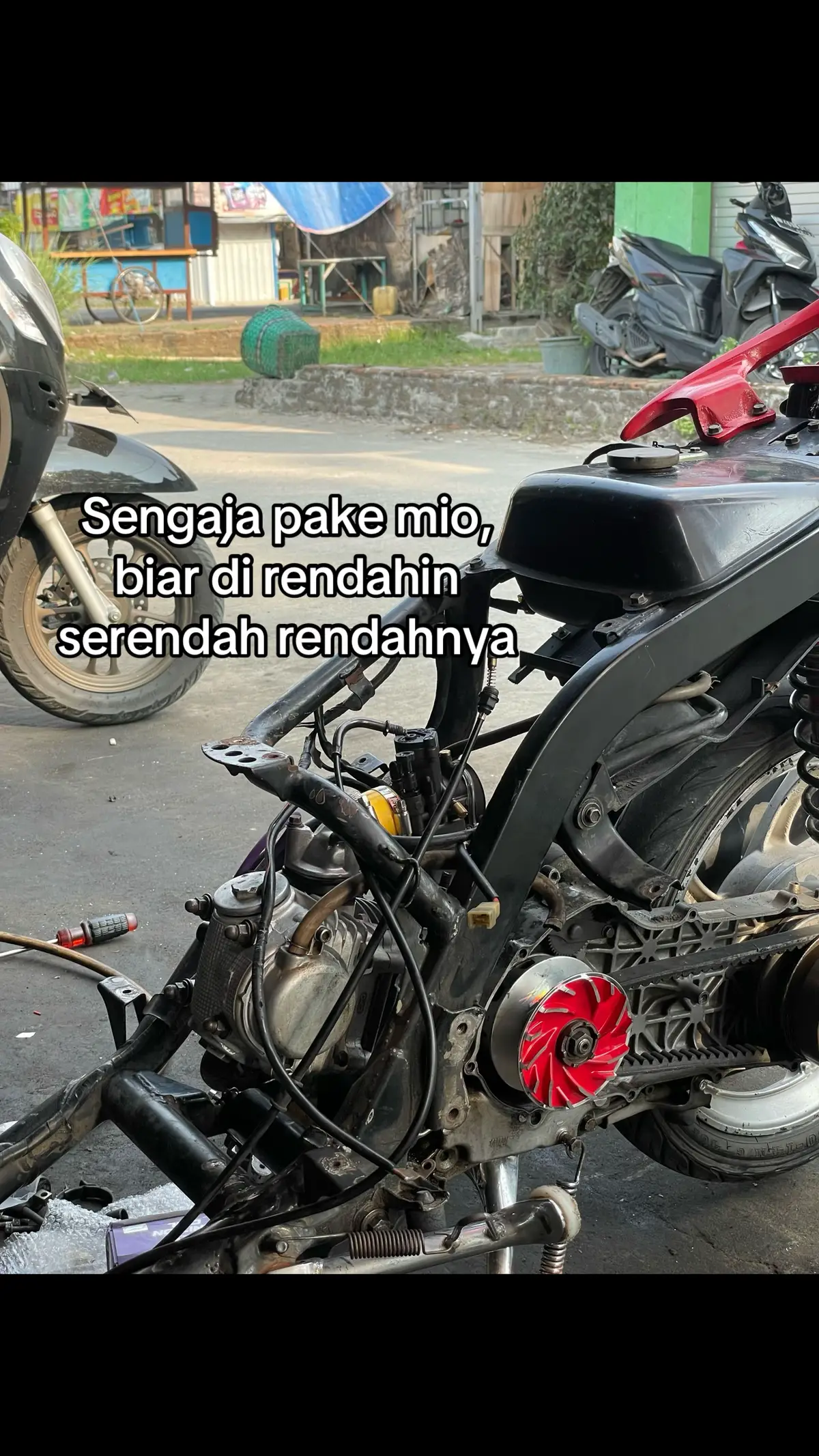 hhh#mio #5tlgank🚀 