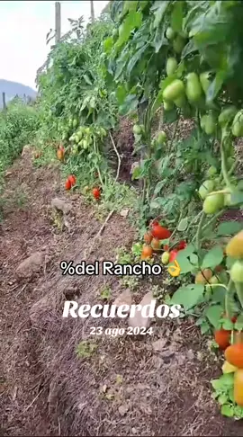 #Recuerdos 
