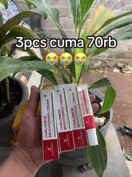 CHALONESE 3pcs cuma 70rb✌️😭😭