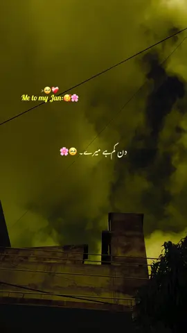 پھر ڈھونڈھتے پھرو گے 🥹❤️‍🩹#aesthetic #poetry #poetrystatus #grow #account 