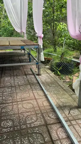 Sản phẩm mới nhe mọi người #vuachantoi #xuhuong #xuhuong 