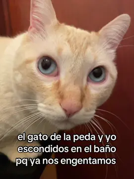 Milaneso 