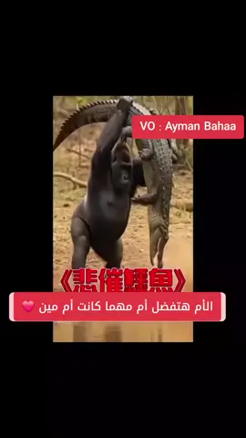 الأم هتفضل أم ❤️