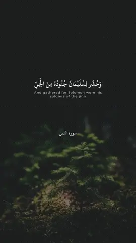 وحشر لسليمان جنوده #سورة_الجن #سعود_الشريم 