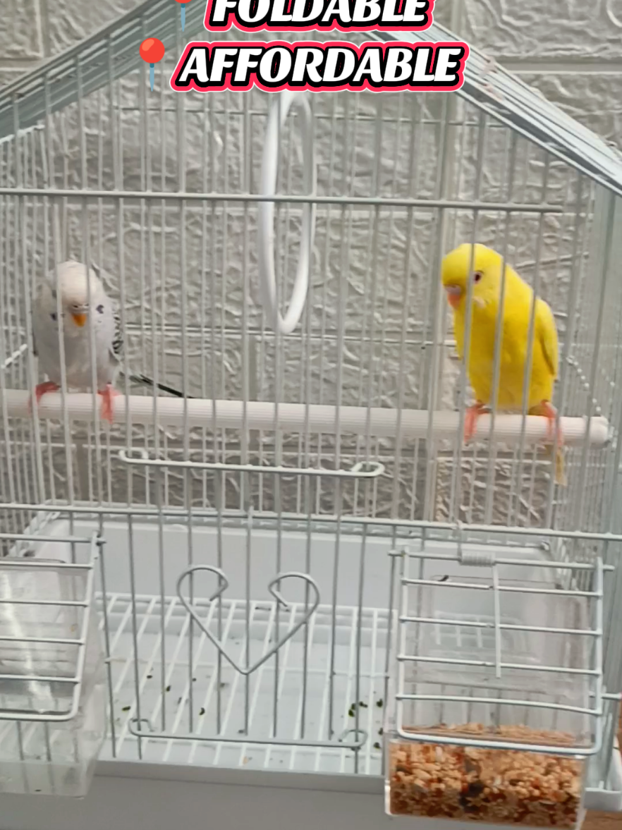 📍Portable small bird cage #lovebirds #birdcage #mommycris 
