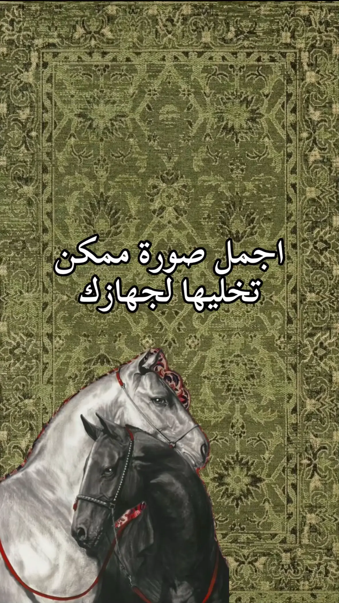 #كربلاء_مدينة_العشق_والعاشقين #الامام_علي_بن_ابي_طالب #الامام_الحسين_عليه_سلام #خلفيات_الأئمة #s2zxa 