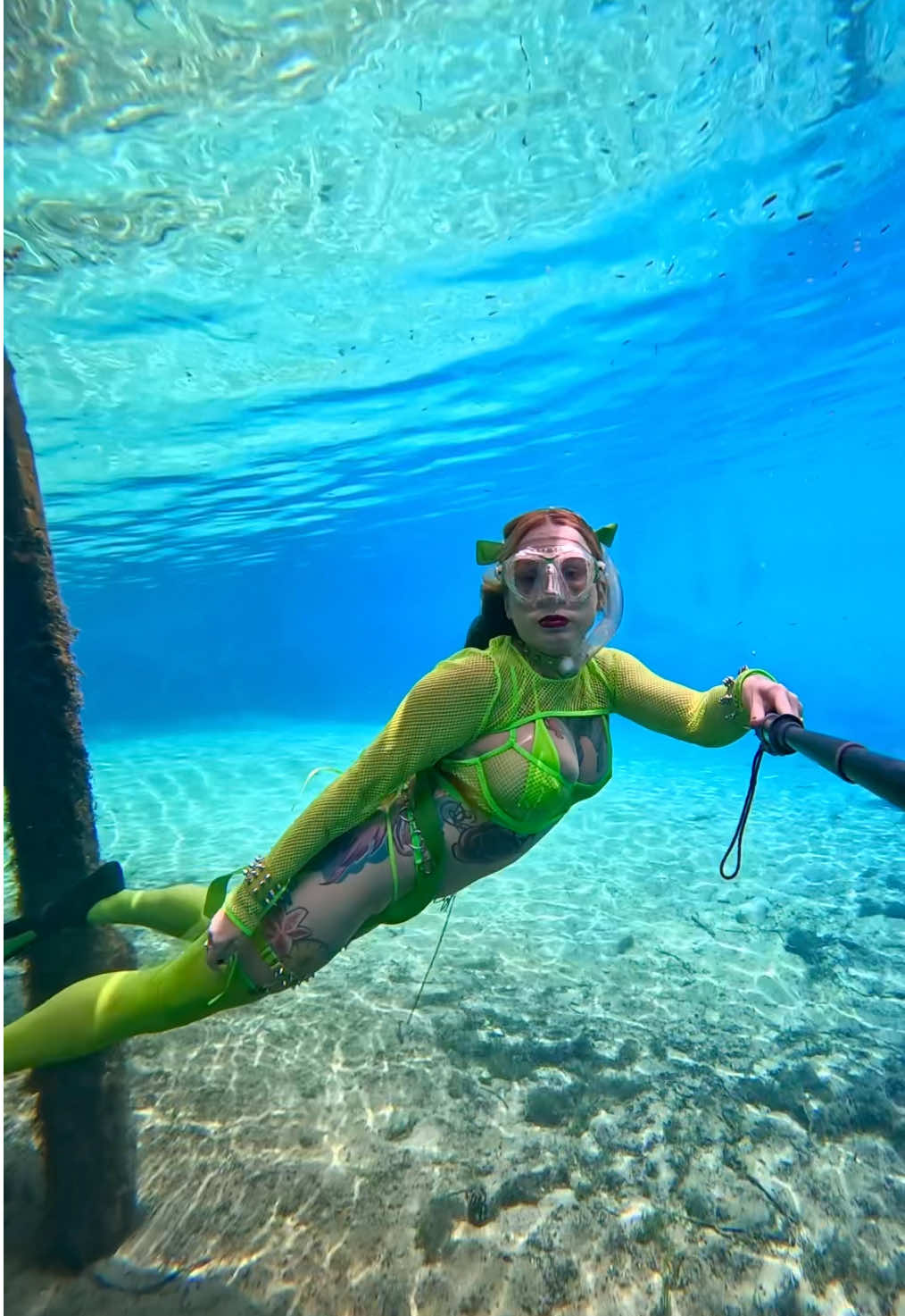 Under de bridge 🩵 #underwater #springs #freediver #freediving #coldwater