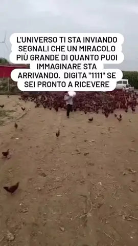 ❤️ 3  5  0  5  7  5  7  9  8  8  Contattami su WHATSAPP per consulto Approfondito Privato💓 Interagisci positivamente per farlo accadere 🍀 #cartomanzia #tarocchi #bassocosto #carte #consulto 