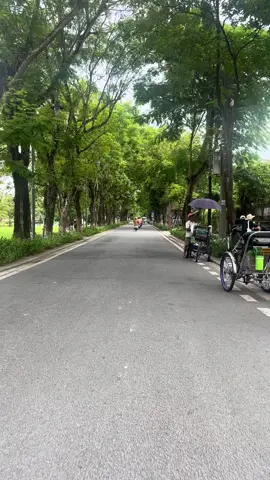 Thời tiết Huế mùa này thiệt biết chiều lòng người🌥️🌥️ #langthang #codohue #muathuhue🍂🍂 #viral 