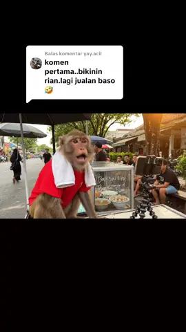 Membalas @yay.acil gini ya boss...😅