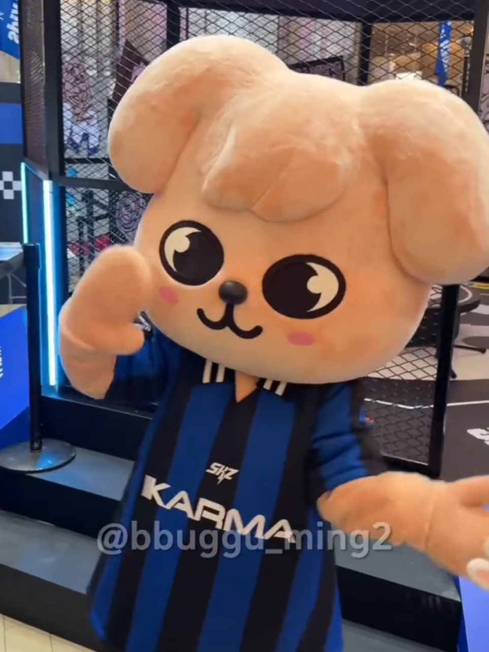 my puppym is back☹️?? #seungmin #puppym ##straykids #skzo #stay 